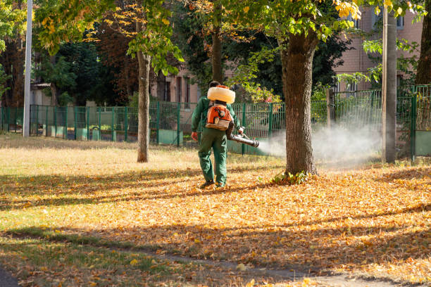 Best Pest Prevention Services  in Cleona, PA